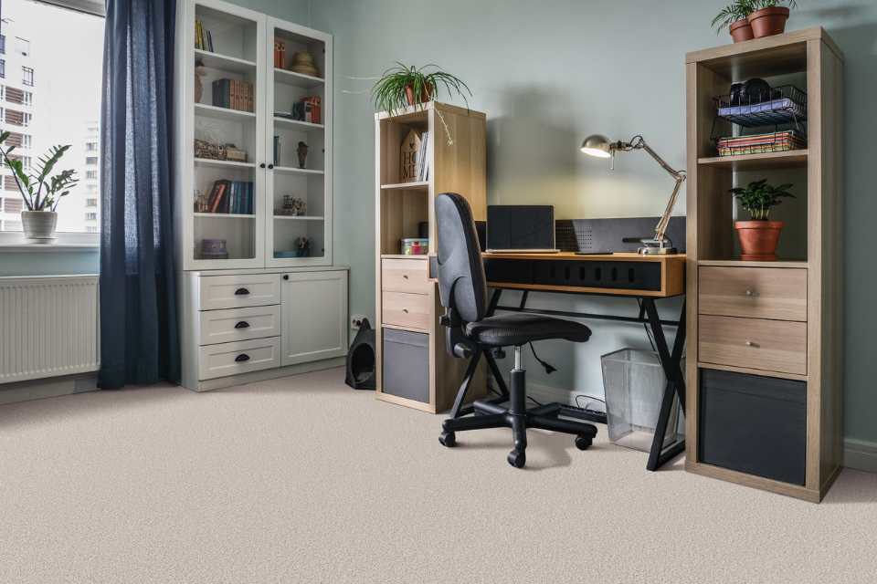 plush white carpet in modern home office with shelving and greenery